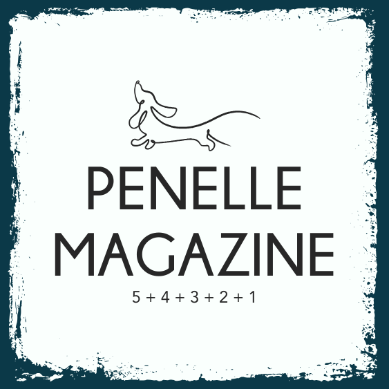 Line drawing of a dachshund. Penelle Magazine. 5 + 4 + 3+ 2+ 1